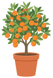 Tangerine